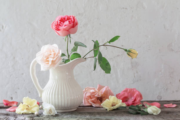 istock roses in vase on old white background 820885456