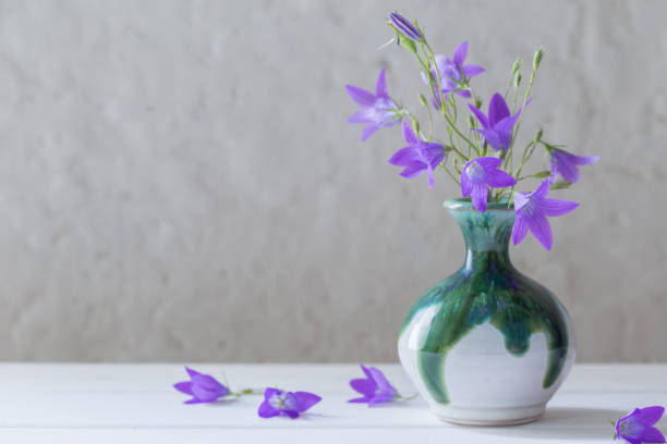 istock bluebell in vase on white background 820885468