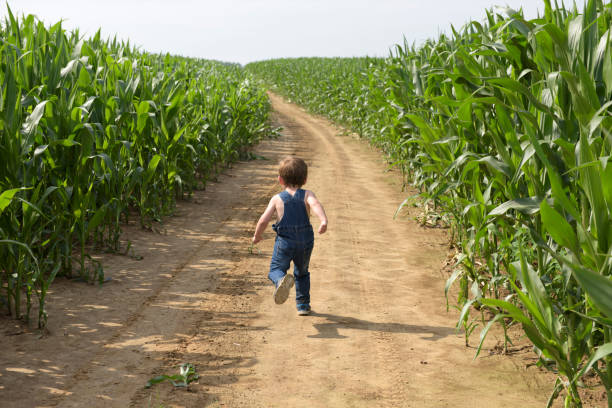 istock cowboy siblings walking in the fields 820888884