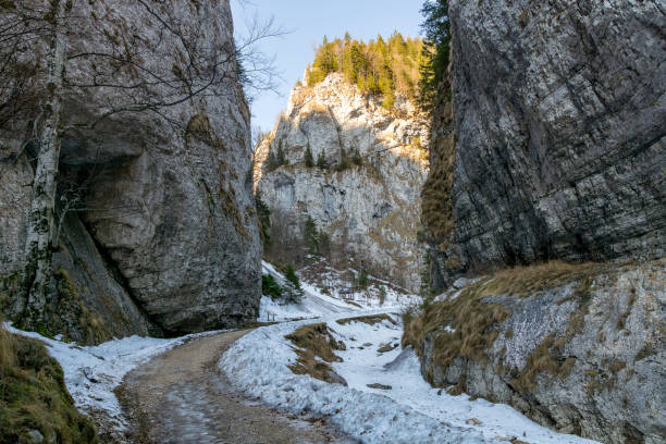 Zarnesti winter , narrow route between mountains cliffs View of a narrow path between mountains cliffs in Zarnesti during wintertime zarnesti stock pictures, royalty-free photos & images