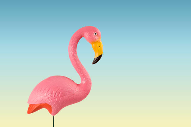 istock pink flamingo on a tropical blue gradient background 820899550