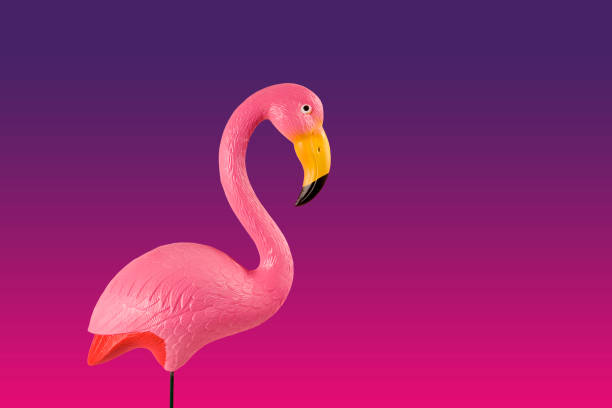 istock sunset pink flamingo 820899552