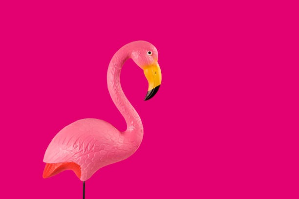 istock Pink flamingo on a fushia background 820899554