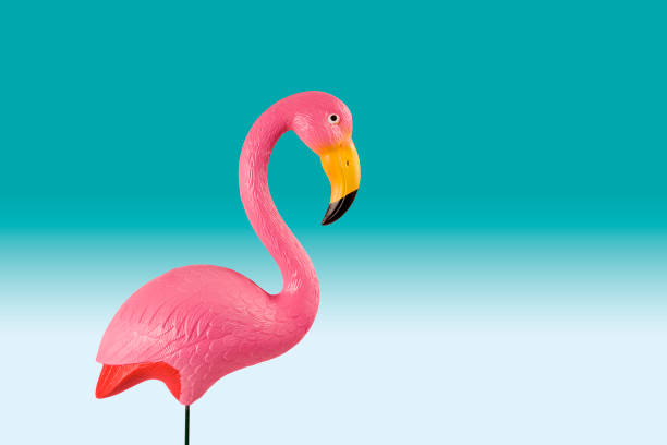 istock sunset pink flamingo 820899556