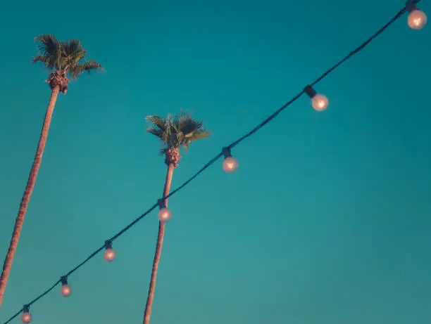 Photo of Retro Style Tall Palms at Sunset with Lights and Copy Space