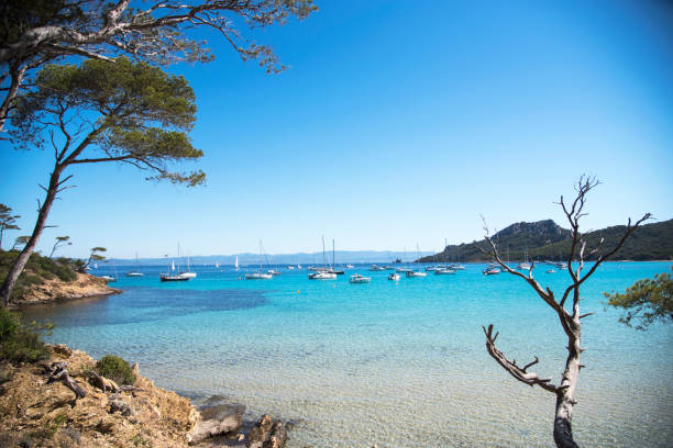 istock Transparent water in the bay 820904390