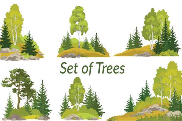illustrazioni stock, clip art, cartoni animati e icone di tendenza di paesaggi con alberi e rocce - glade branch vector landscape