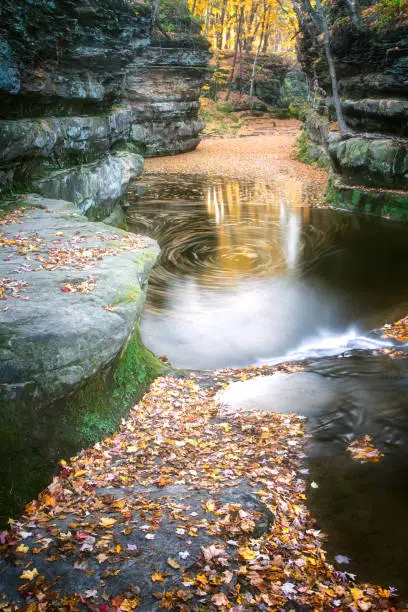 Colorful fall leaves swirl in the water late in October at Pewits Nest