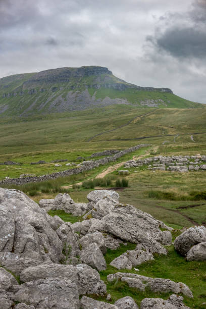 Foot path to Pen-y-Ghent on overcast day. Foot path to Pen-y-Ghent on overcast day in North Yorkshire, England ingleborough stock pictures, royalty-free photos & images