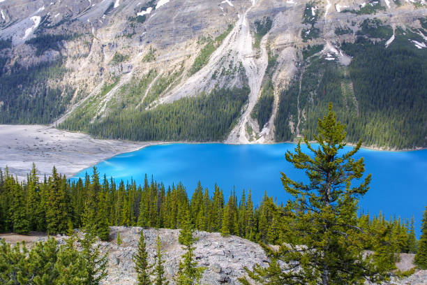 istock Peyto Lake in Canada 820943094