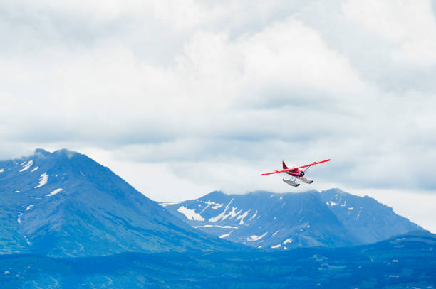 istock Seaplanes Hood Lake Alaska 820943180