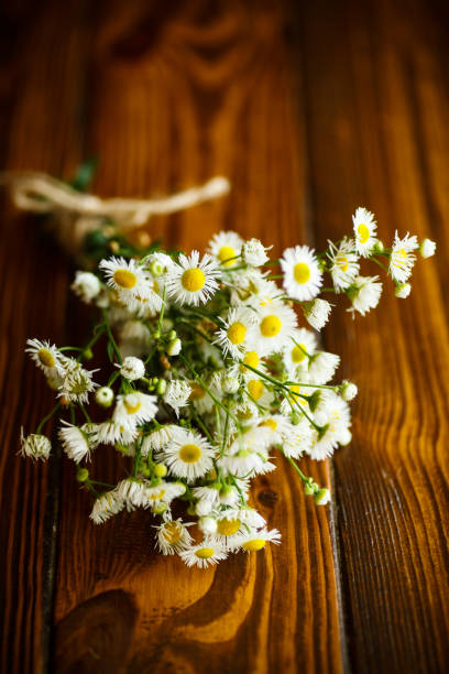 istock Bouquet of field chamomiles 820948202