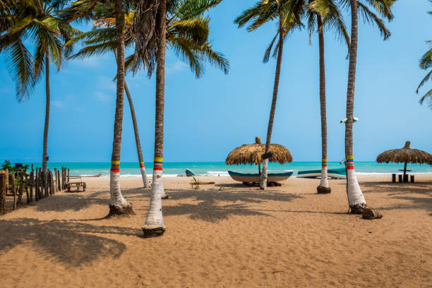 the beautiful beach of palomino in the caribbean coast of colombia, south america - palomino imagens e fotografias de stock