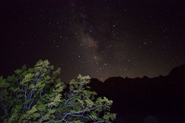 istock The Milky Way on a Warm Summer Night 820949024