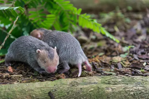 Bilder zum Thema Rats Bluffs Kostenlose Bilder auf Unsplash herunterladen