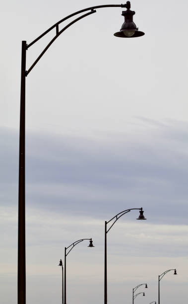 Garden of Street Lights