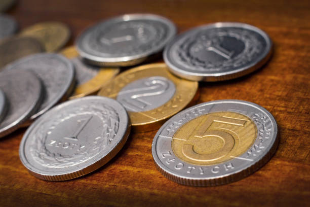 istock Five zloty coin 820973746