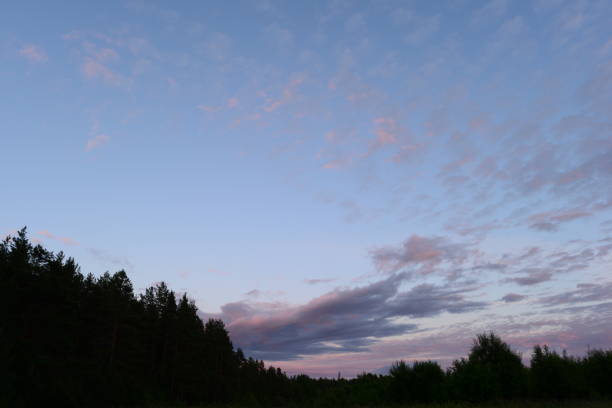 Sunset in the sky over the forest on a summer evening