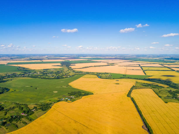 istock Rural landscape with village and cereal fields 820982462