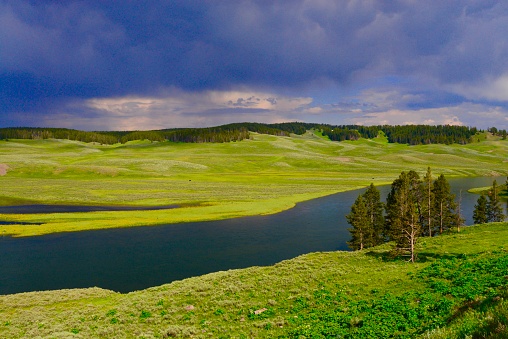 Yellowstone wilderness recreation area features canyons, rivers, waterfalls, lush forests and hot springs.