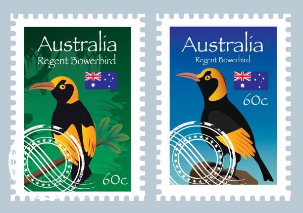 почта австралии (регент бауэрберд ) - kangaroo flag australia australian culture stock illustrations