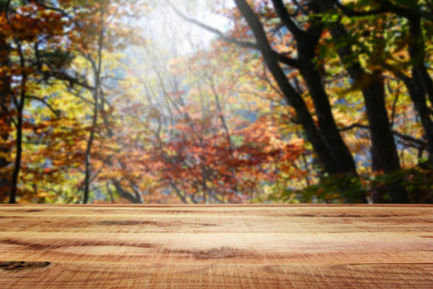 istock Wooden table and blur autumn background. 820997122
