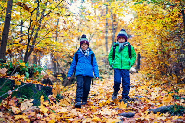 istock Little boys walking to school in autumn 821002468