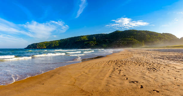 istock Waves, sand and sky on Tucuns beach 821012280