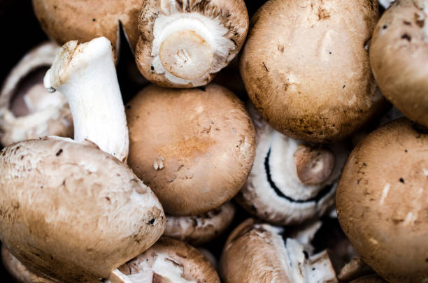 Macro photograph of raw Portobello common mushrooms photographed from above.
