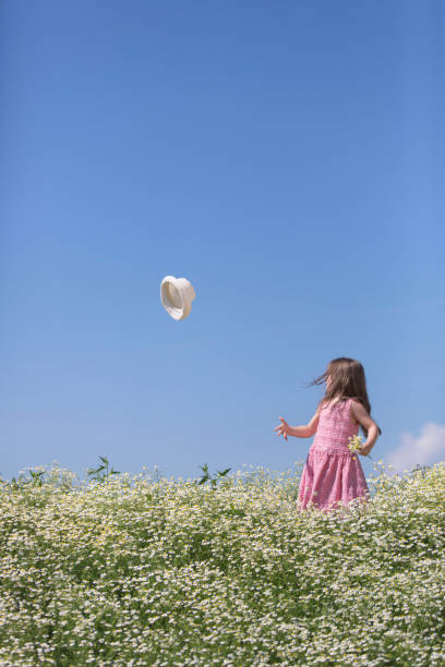 istock Gilr in a camomile field 821015244
