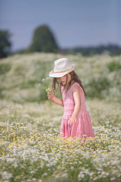 istock Gilr in a camomile field 821015358