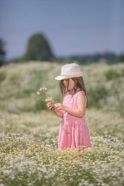istock Gilr in a camomile field 821015386