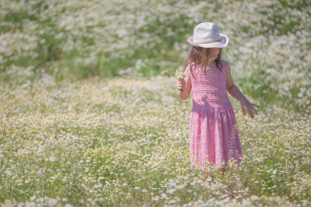 istock Gilr in a camomile field 821015442