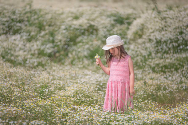 istock Gilr in a camomile field 821015556