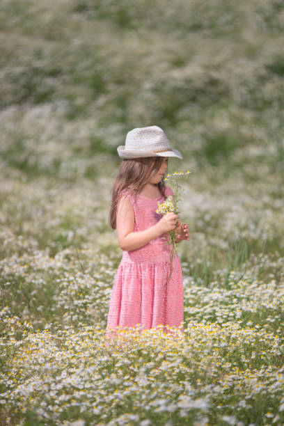istock Gilr in a camomile field 821015604