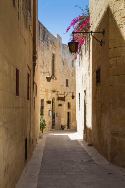 istock The Silent City of Mdina on Malta 821018036