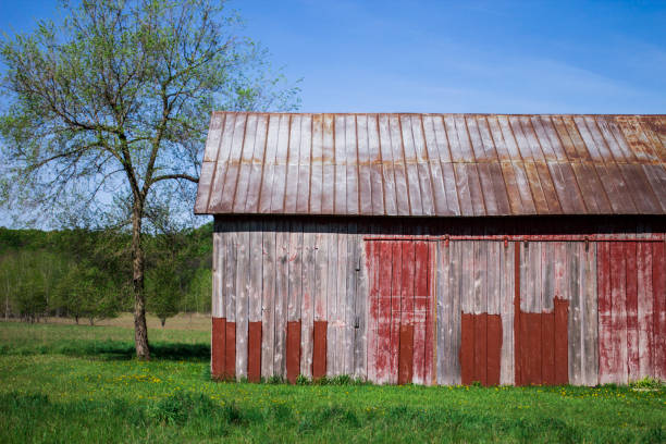 istock Organic farming methods for fresh produce with rustic old barn in spring with copy space. 821018306