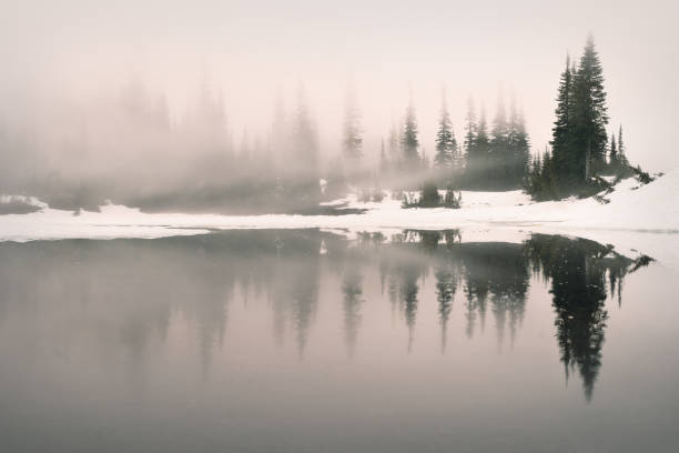 istock Thick fog at Reflection Lake in Mount Rainier National Park 821021282
