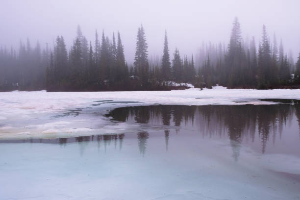 istock Thick fog at Reflection Lake in Mount Rainier National Park 821021290