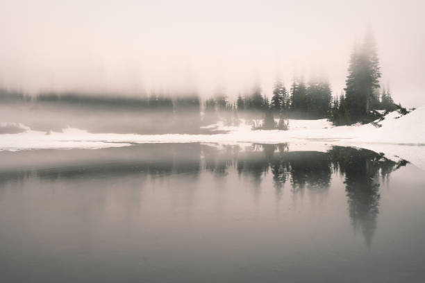istock Thick fog at Reflection Lake in Mount Rainier National Park 821021304