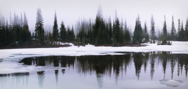 Thick fog at Reflection Lake in Mount Rainier National Park