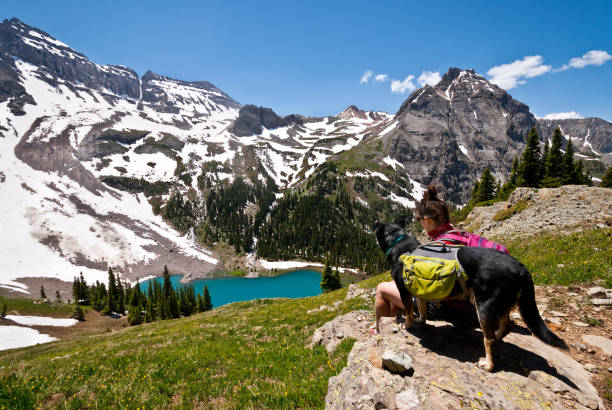 istock Young Woman Hiker and Dog 821024796