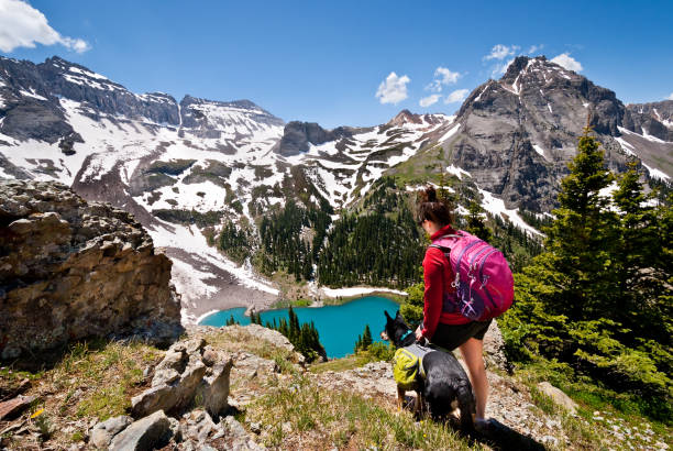 Young Woman Hiker and Dog Dallas Peak at 13,815' above sea level is a rock summit in the San Juan mountains of southern Colorado near the Continental Divide. The wide-open landscape is surrounded by many peaks approaching 14,000'. This photograph of a young woman hiker and her dog was taken from the high meadows above Blue Lake in the Mount Sneffels Wilderness near Ridgway, Colorado, USA. sneffels range stock pictures, royalty-free photos & images