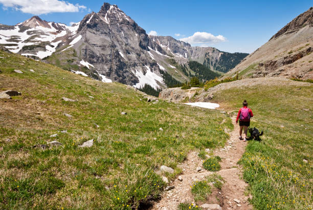 perro y mujer joven excursionista - uncompahgre national forest fotografías e imágenes de stock