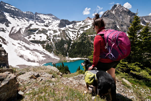 Dallas Peak at 13,815' above sea level is a rock summit in the San Juan mountains of southern Colorado near the Continental Divide. The wide-open landscape is surrounded by many peaks approaching 14,000'. This photograph of a young woman hiker and her dog was taken from the high meadows above Blue Lake in the Mount Sneffels Wilderness near Ridgway, Colorado, USA.