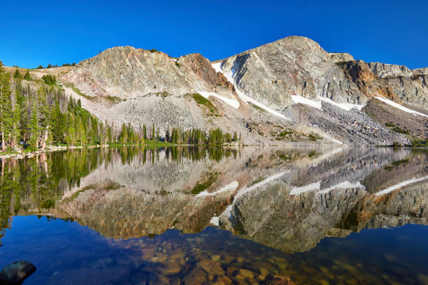 istock Medicine Bow Mountains, Wyoming 821027836