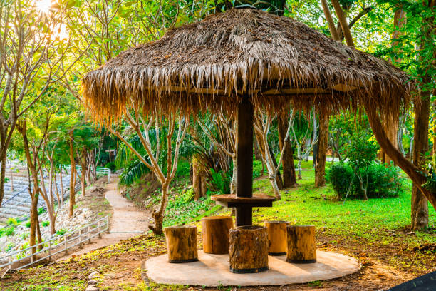 istock Thatched roof pavillion with 
Stump 821029114