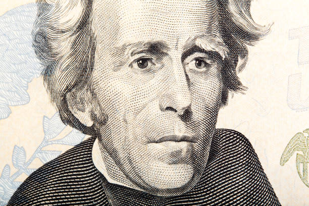 istock Fragment of twenty dollar bill - President Jackson 821034966