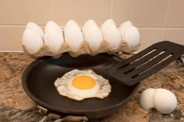 Fried egg in kitchen
