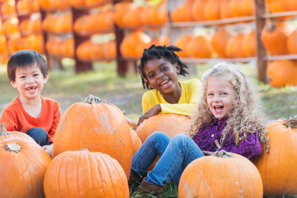 Three multi-ethnic children with lots of pumpkins